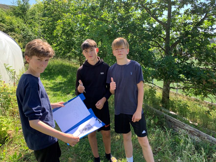 Maths Trail 4 